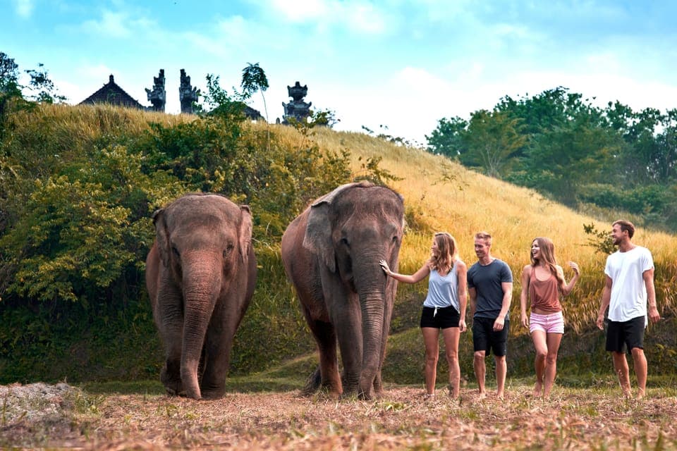 Bali Zoo: Guided Ethical Elephant Care Experience, Bali