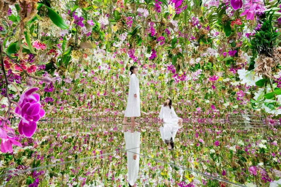 Tokyo: teamLab Planets TOKYO Digital Art Museum Entry Ticket, Tokyo