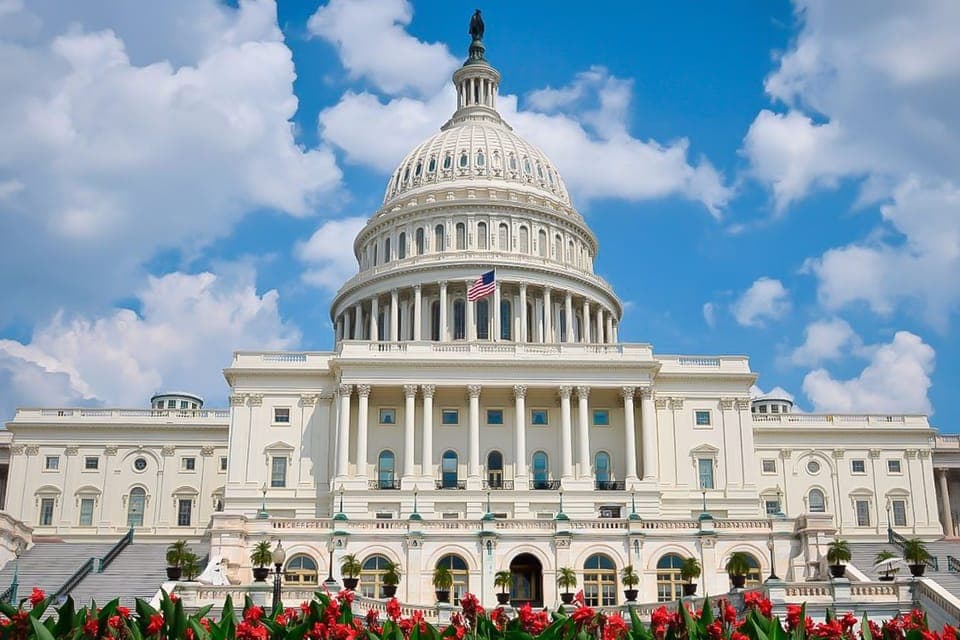 From NYC: Guided Day Trip to Washington DC by Van or Bus, New York