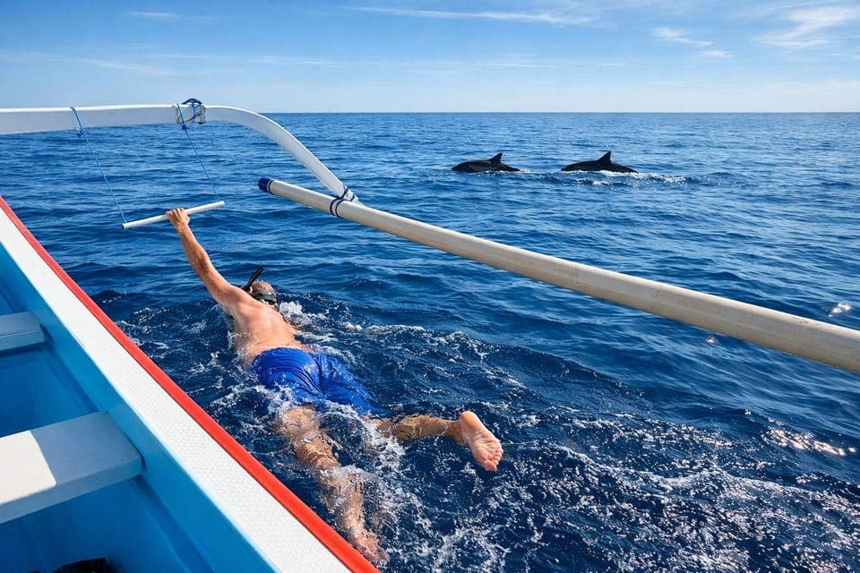Lovina/Bali: Sunrise Dolphin Watching, Swimming & Snorkeling, Bali