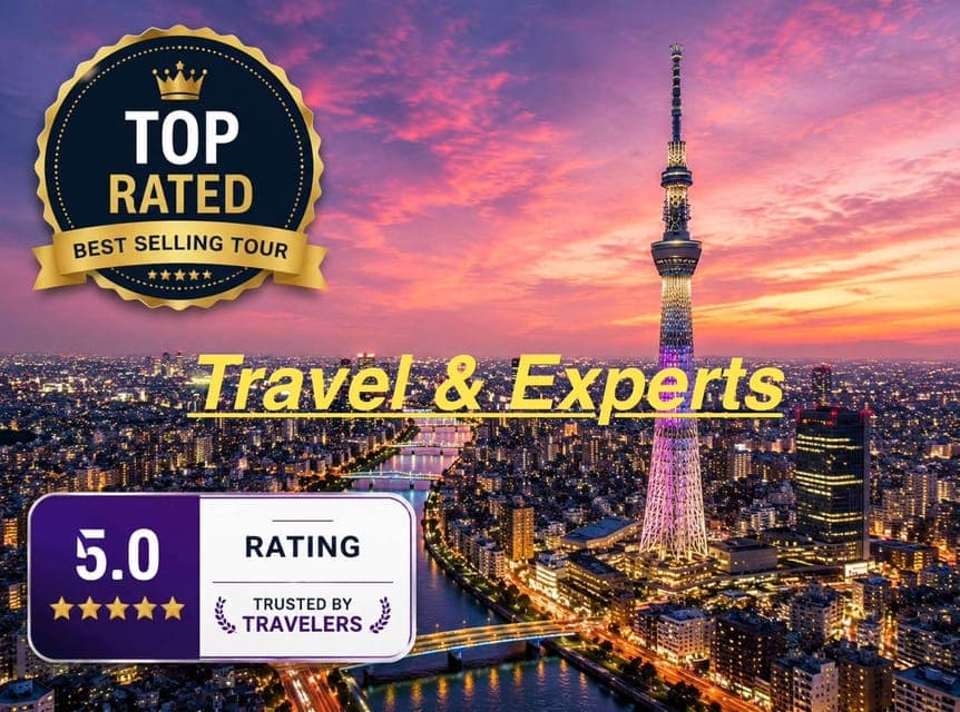 Tokyo : Tokyo Full-Day Sightseeing City Tour Driver / Guide, Tokyo