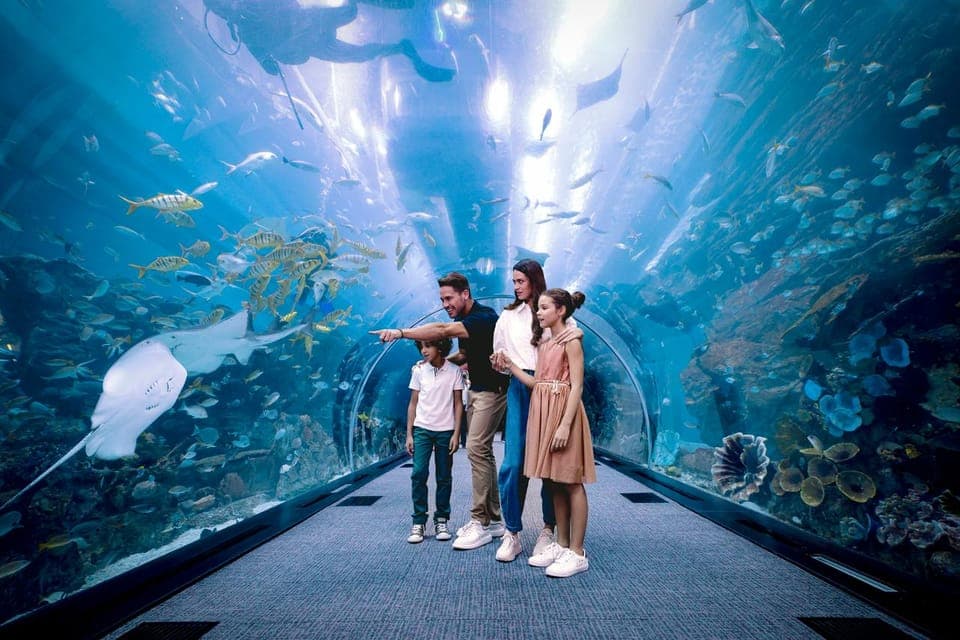 Dubai: Aquarium and Underwater Zoo Experience, Dubai