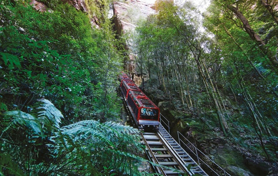Blue Mountains Adventure: Scenic World, Zoo & Koala Photo, Sydney