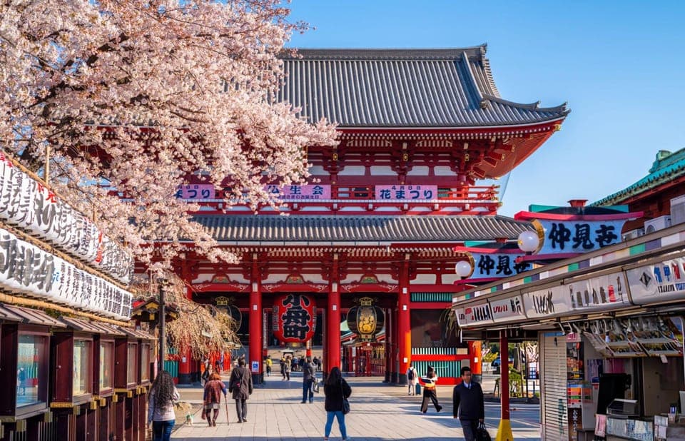 Best of Tokyo: Guided Full Day City Tour with a Local, Tokyo