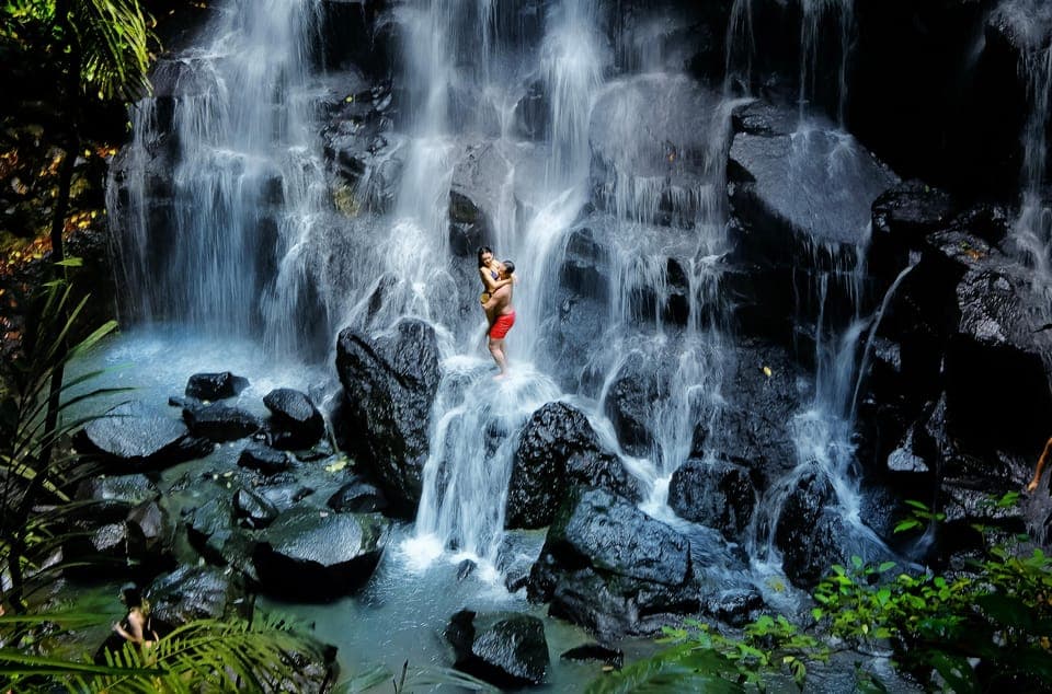 Ubud: Waterfall, Temple & Rice Terrace Private or Group Tour, Bali