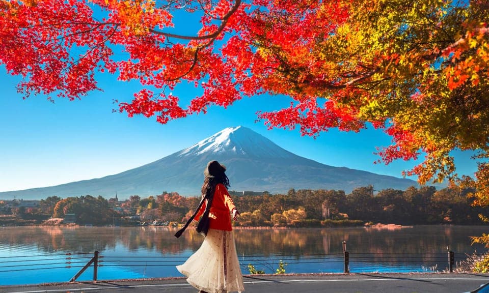 Tokyo: Mt Fuji & Oishi Park & Lake Kawaguchi & Oshino Hakkai, Tokyo