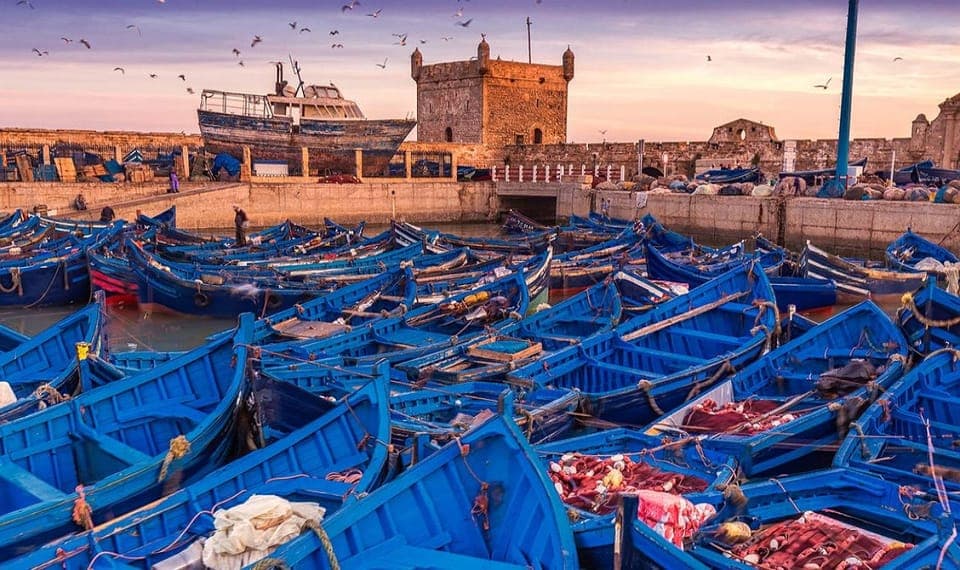 From Marrakesh : Essaouira Coastal Day Tour with Lunch, Marrakech